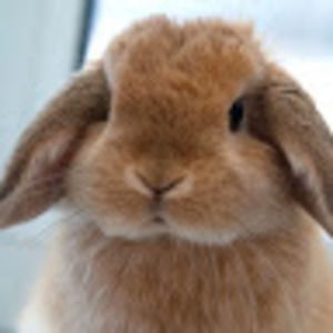 Meet your Posher, Xx zoey